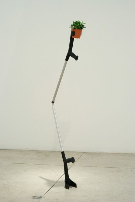 Jaime Pitarch, ‘Vegetable with Prosthesis’, 2009