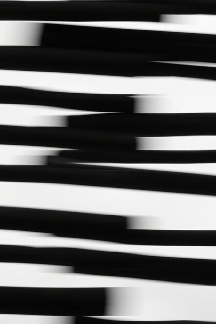Yves Ullens, ‘Black & White Rhapsody #2’, 2012