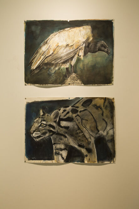 Russ Ronat, ‘African White Backed Vulture #2 & Clouded Leopard’, 2018