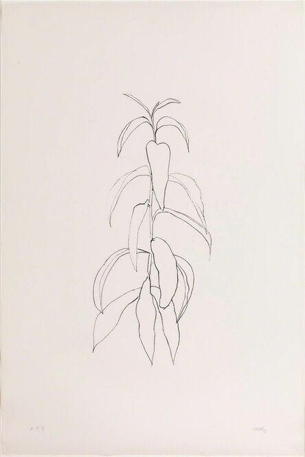 Ellsworth Kelly, ‘Peach Branch’, 1974