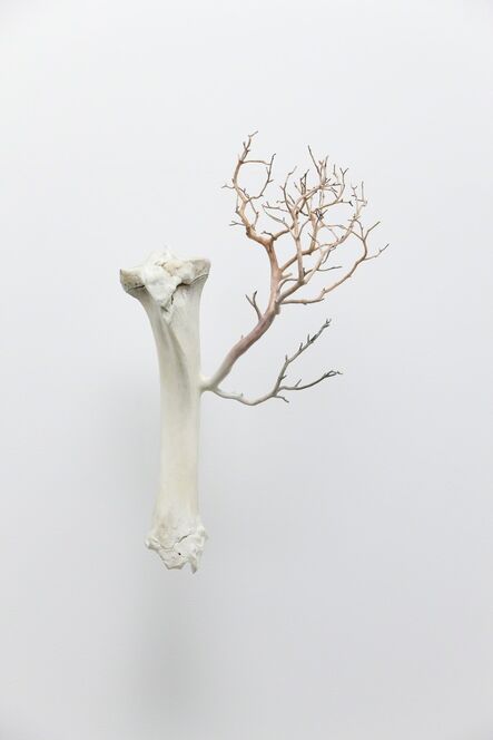 Myeongbeom Kim, ‘Bone’, 2013