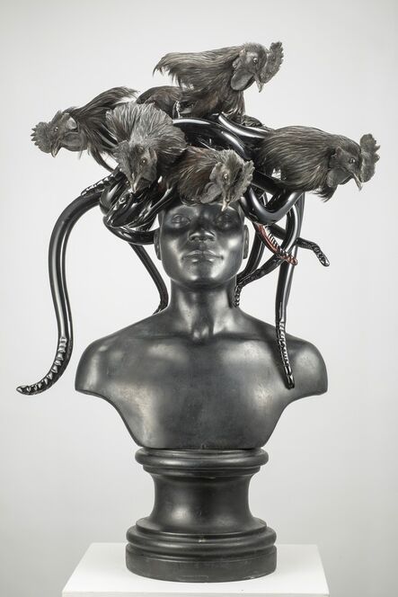 Koen Vanmechelen, ‘Black Medusa’, 2015