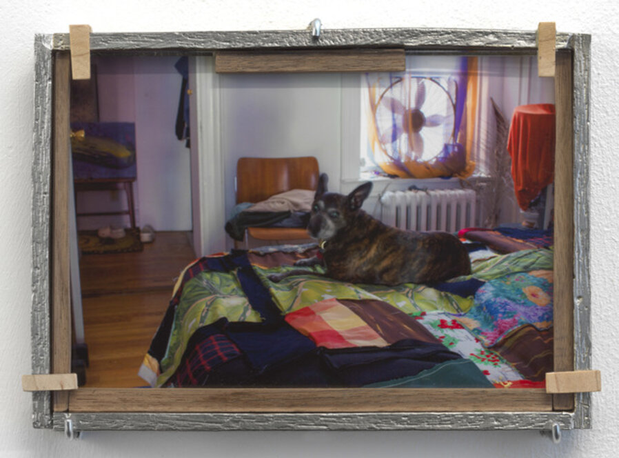Cazador with RJ's Quilt