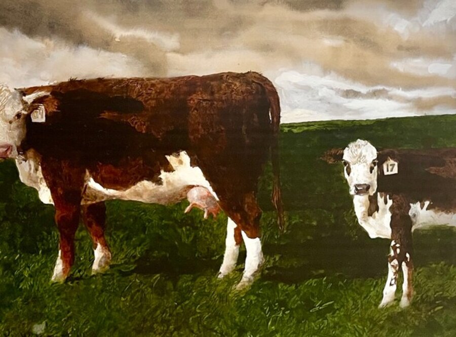 Cow 69 and Calf 17
