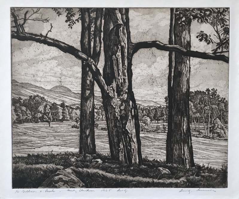 Luigi Lucioni, ‘Dominating Trees’, 1964, Print, Etching, Pia Gallo