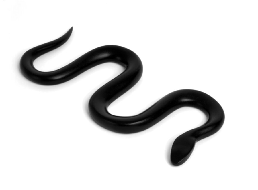 Schlange / Snake