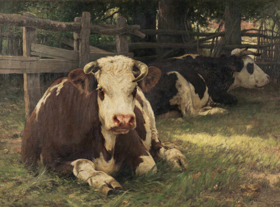 Repose, September Days in Normandy