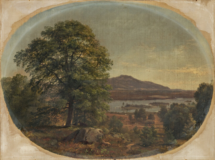 White Mountain Landscape