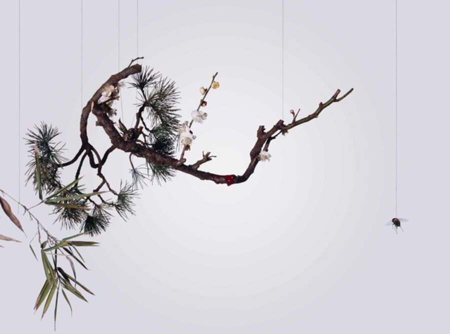 Speak, Memory of Plum Blossoms 說吧, 記憶臘梅