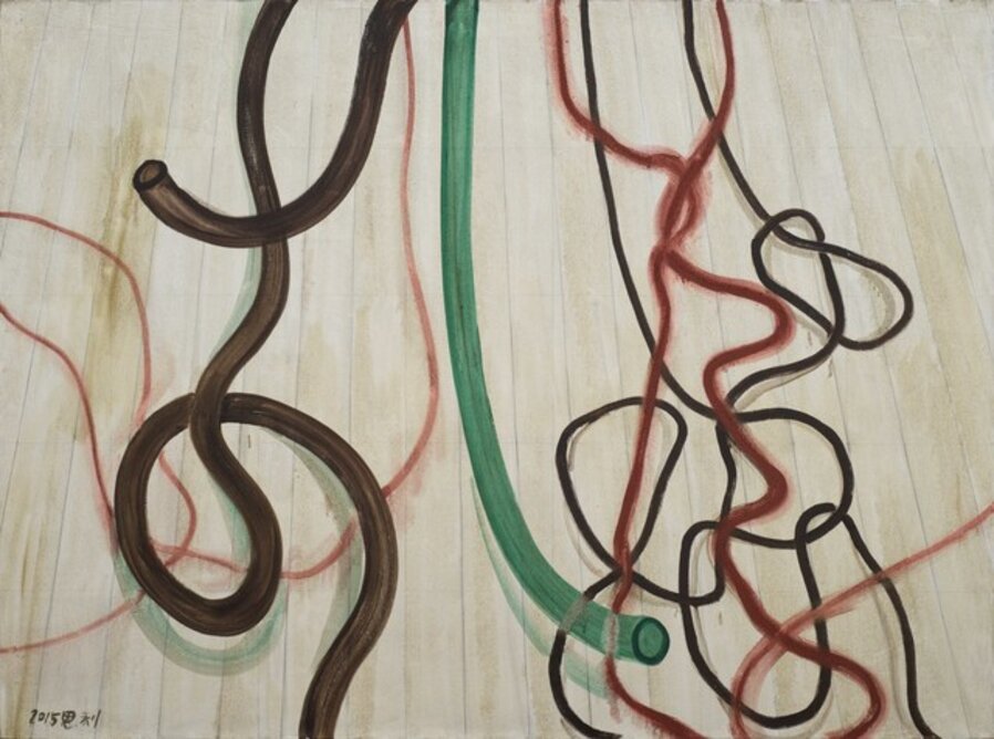 The Plastic Tubes with The Wires