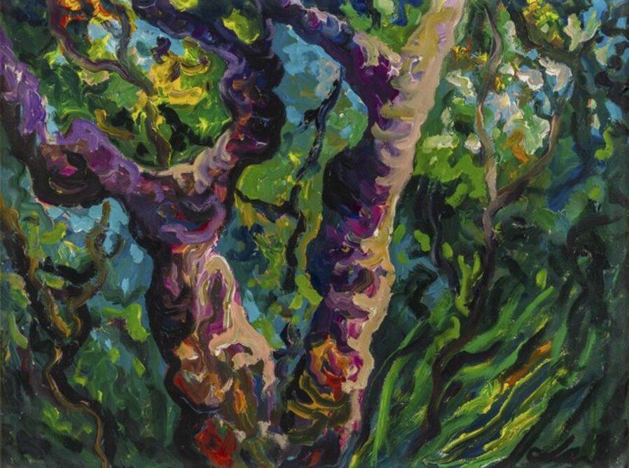 Albero