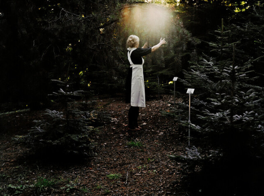 Jardin II