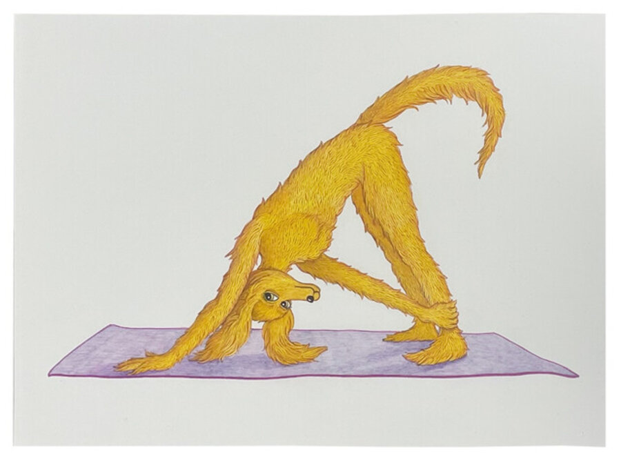 Downward Doogle