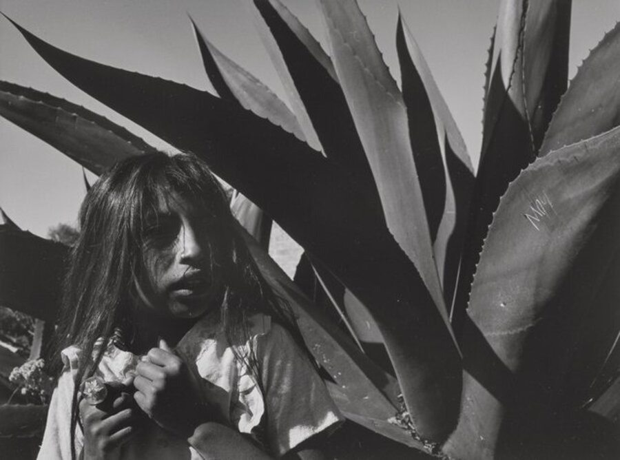 Young Girl with Magay Plant