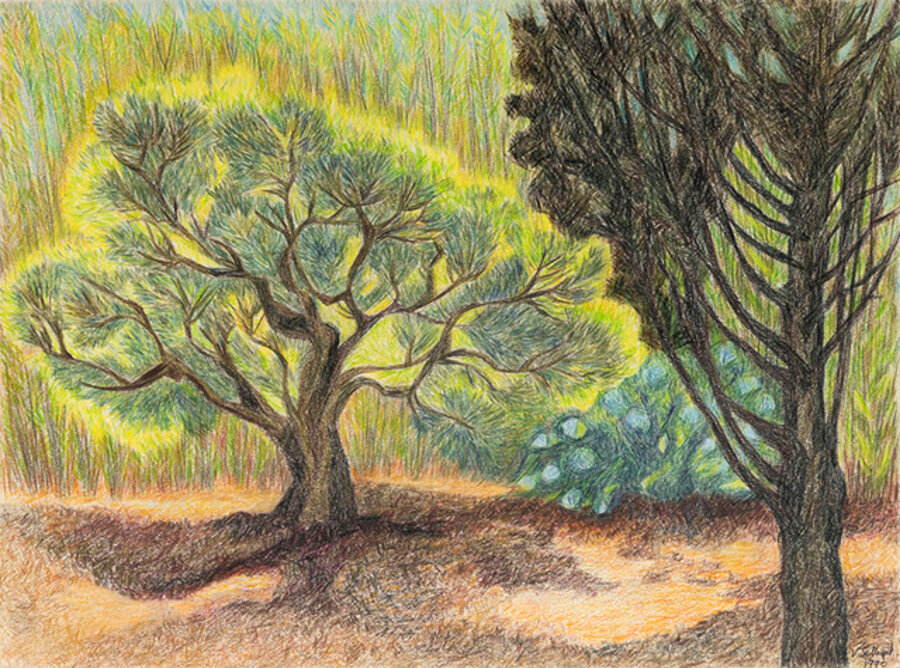 Untitled (Two Trees)