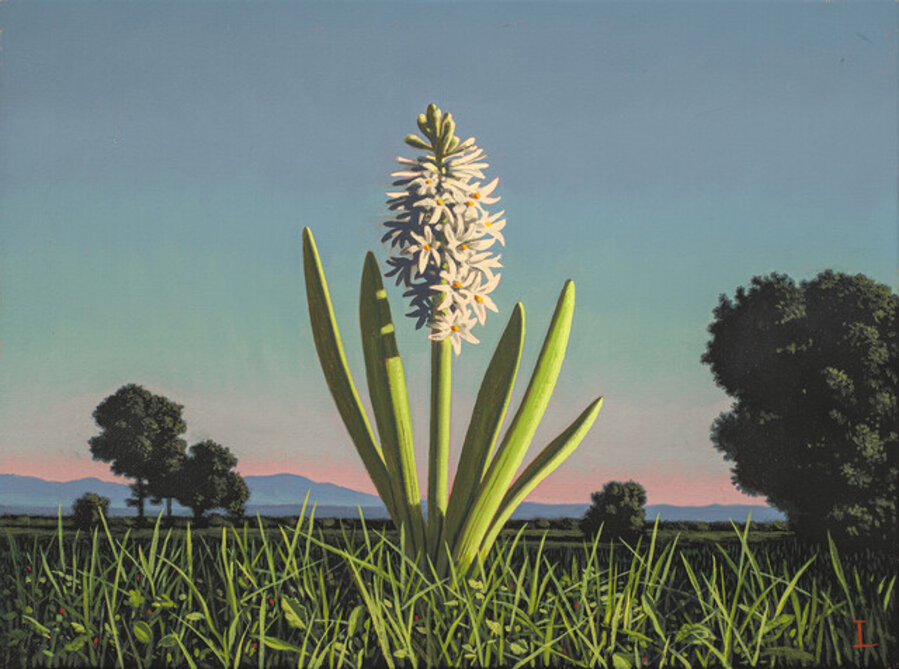 Landscape with a Hyacinth