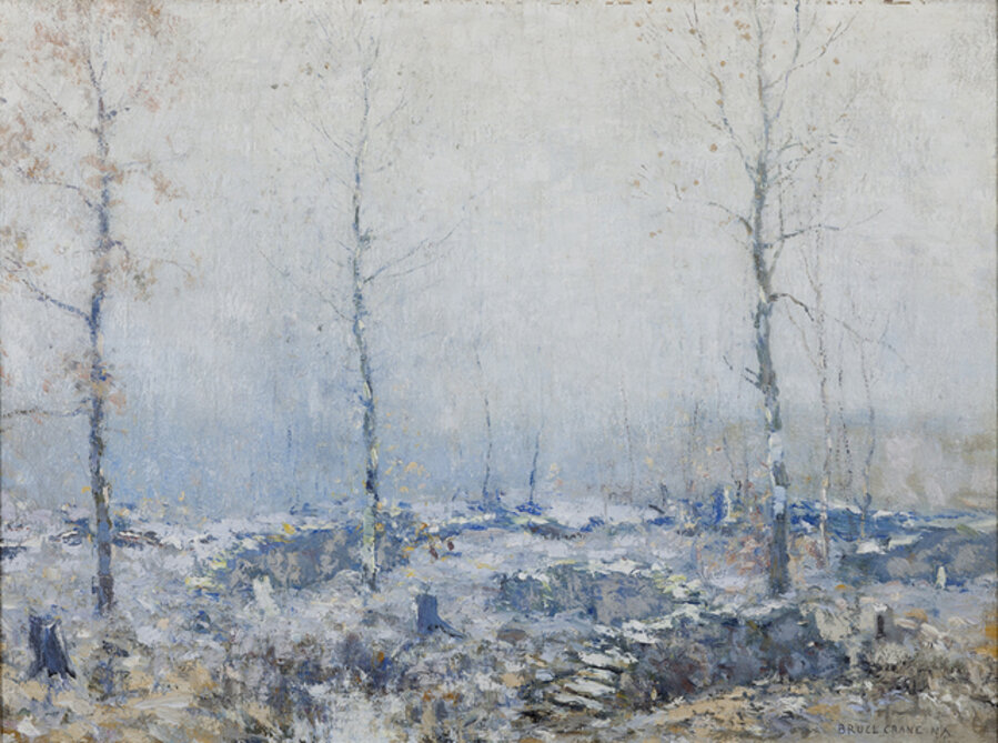 The Old Wood Lot