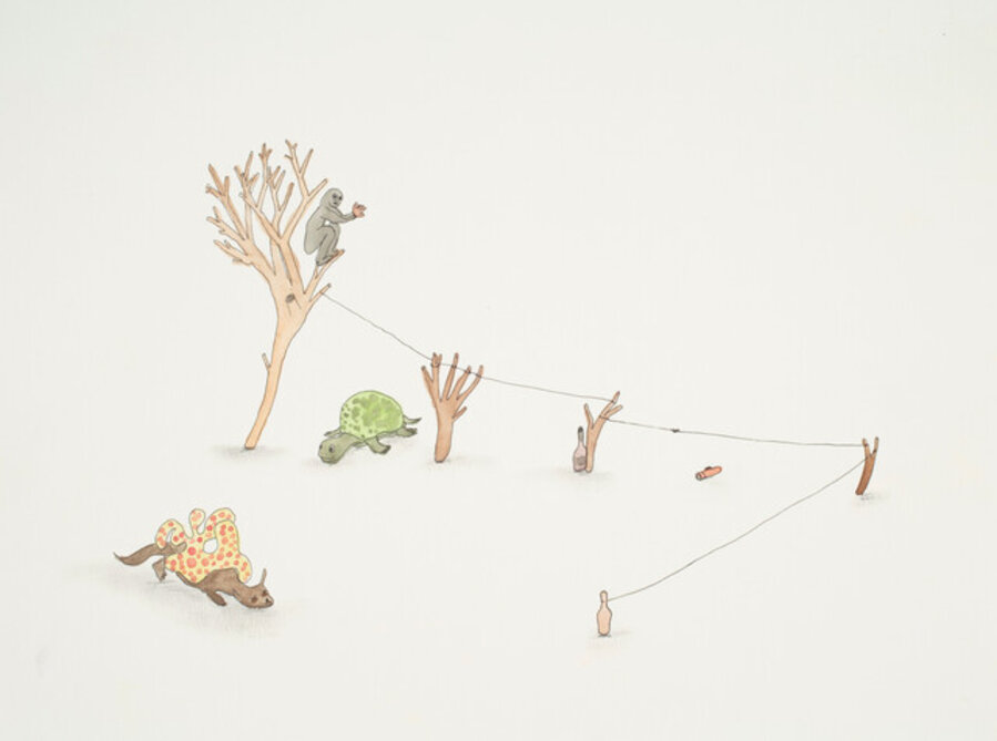 Ecosystem 061