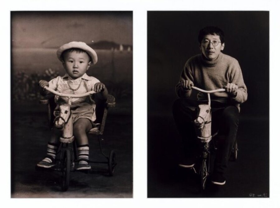 They series - Wooden horse