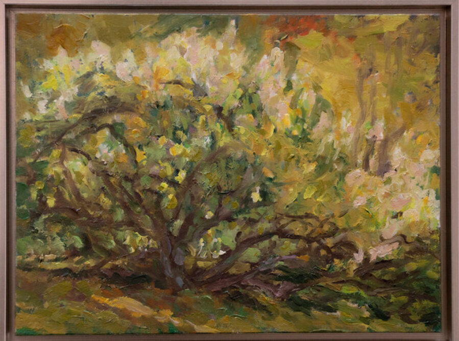 Bush VIII