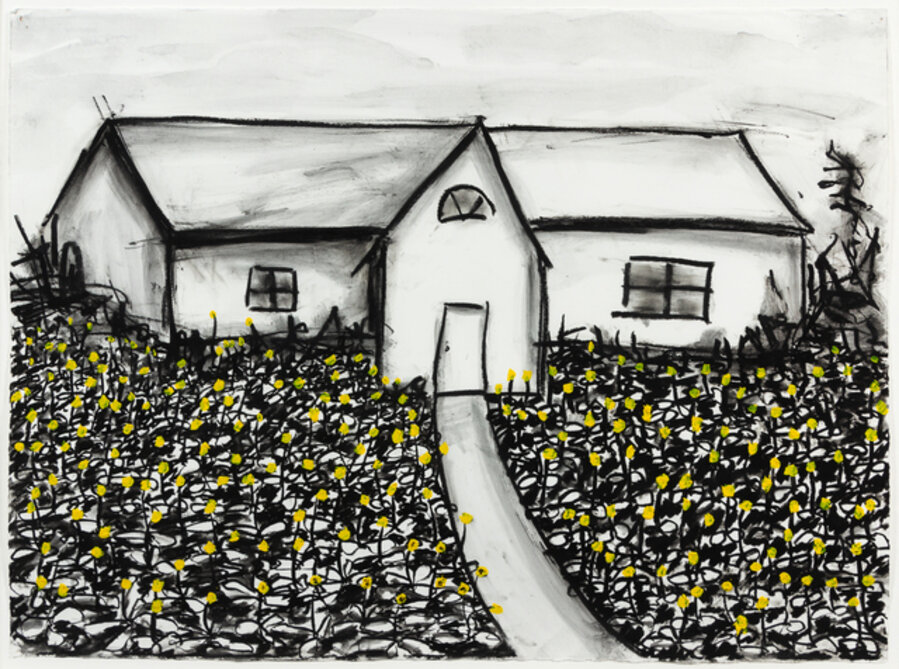 Dandelion Yard