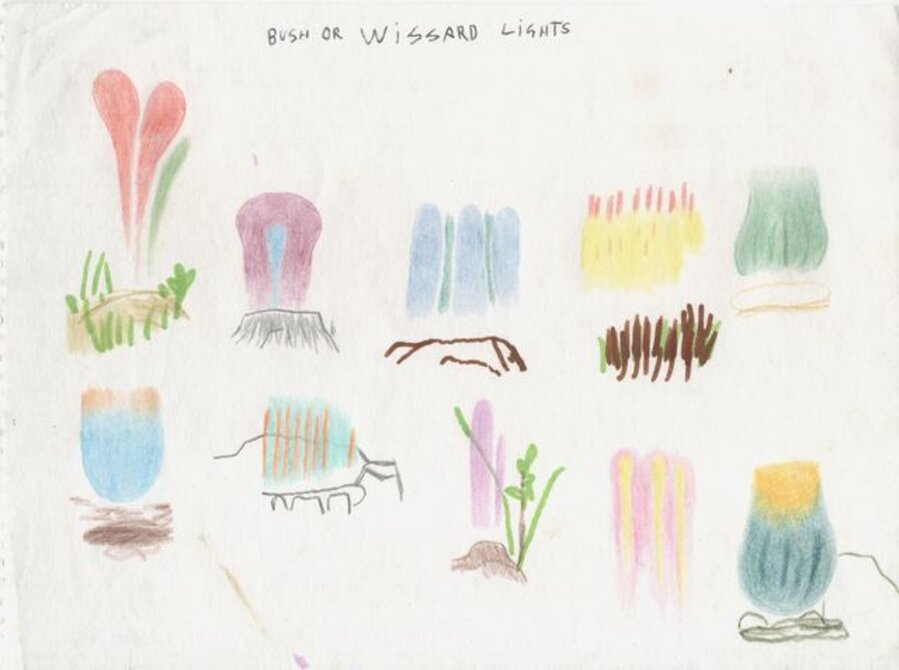 Bush or Wissard Lights (#74)