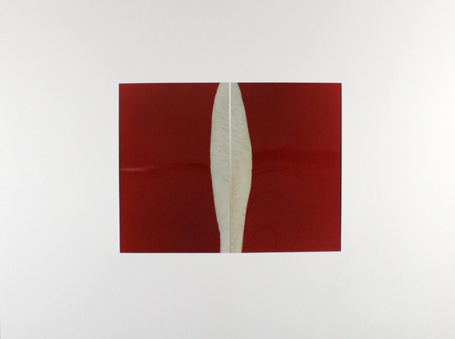 Diptychon # 33