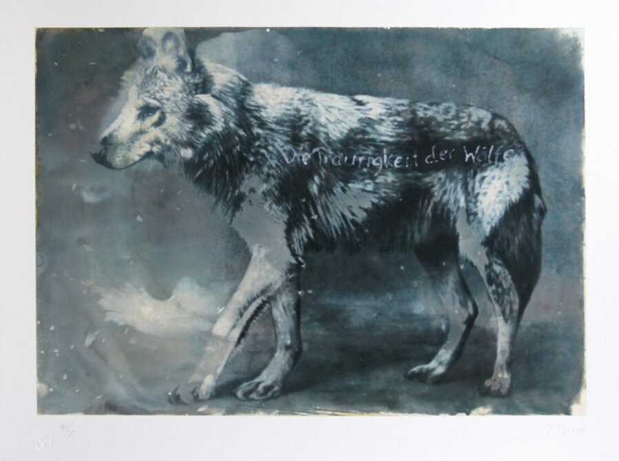 Wolf