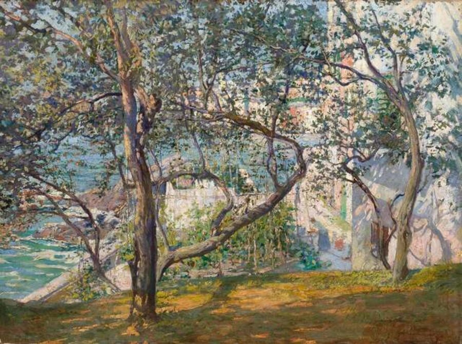A View Through the Trees