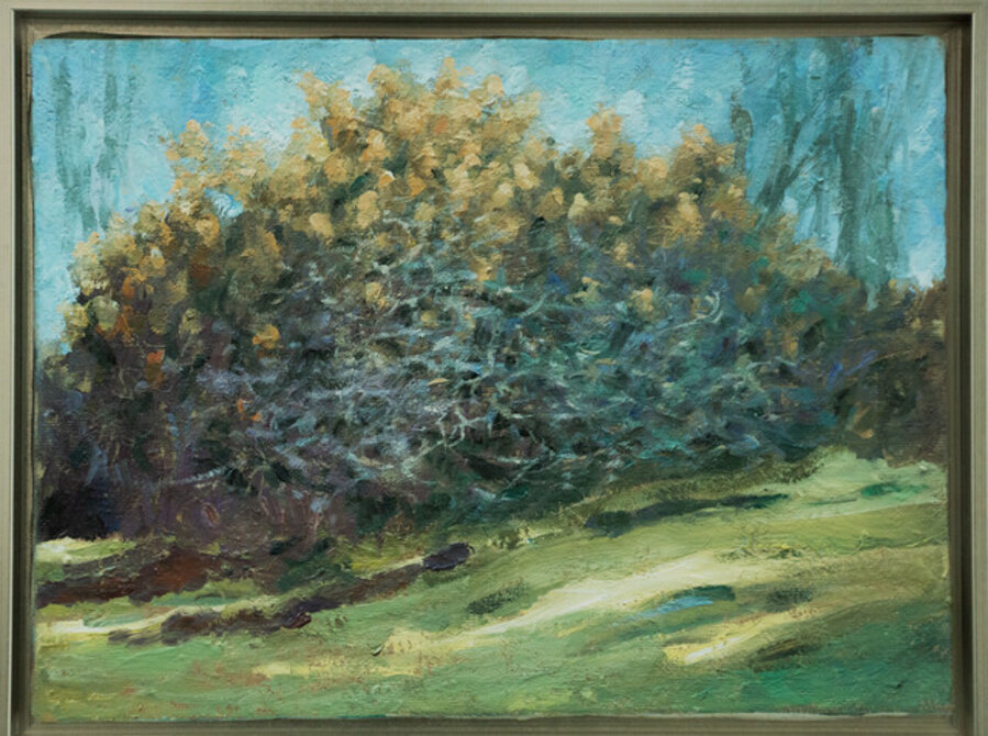 Yard II