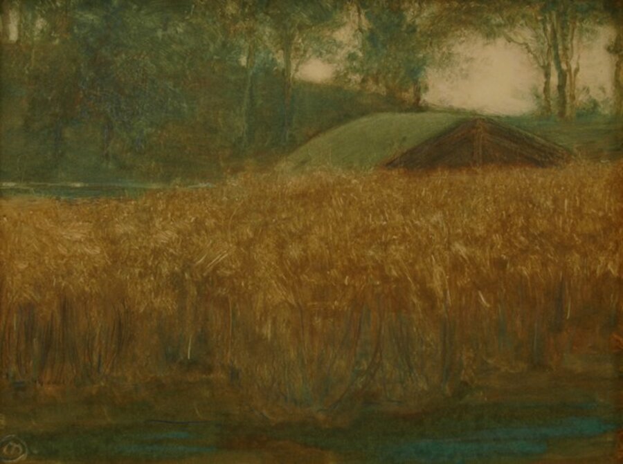 Wheat Field