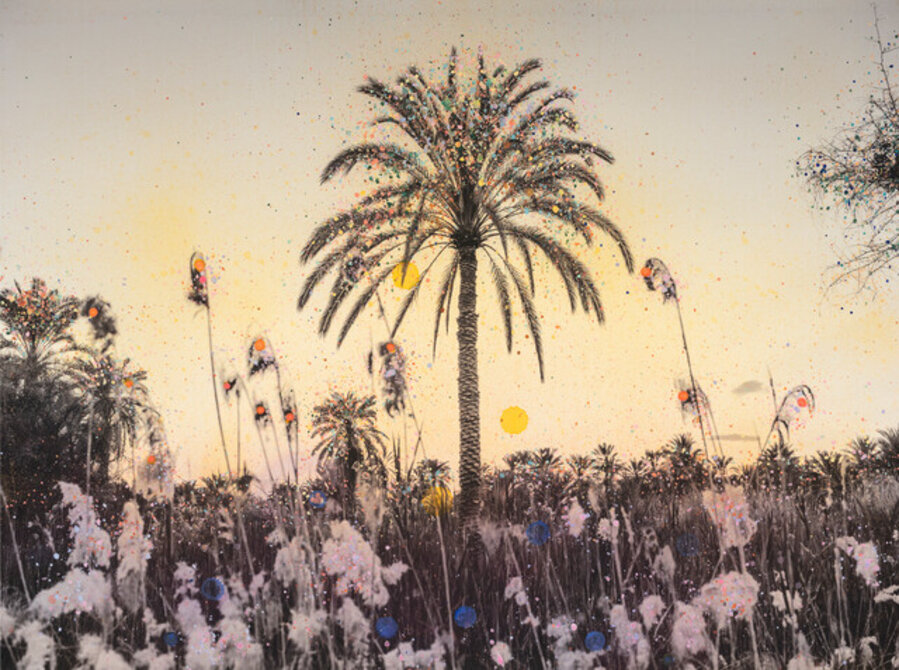 Painted Oasis #2 (Siwa Oasis)
