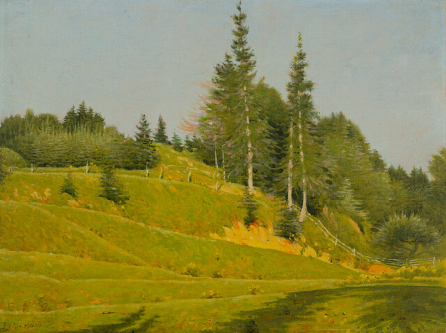 Late Spring