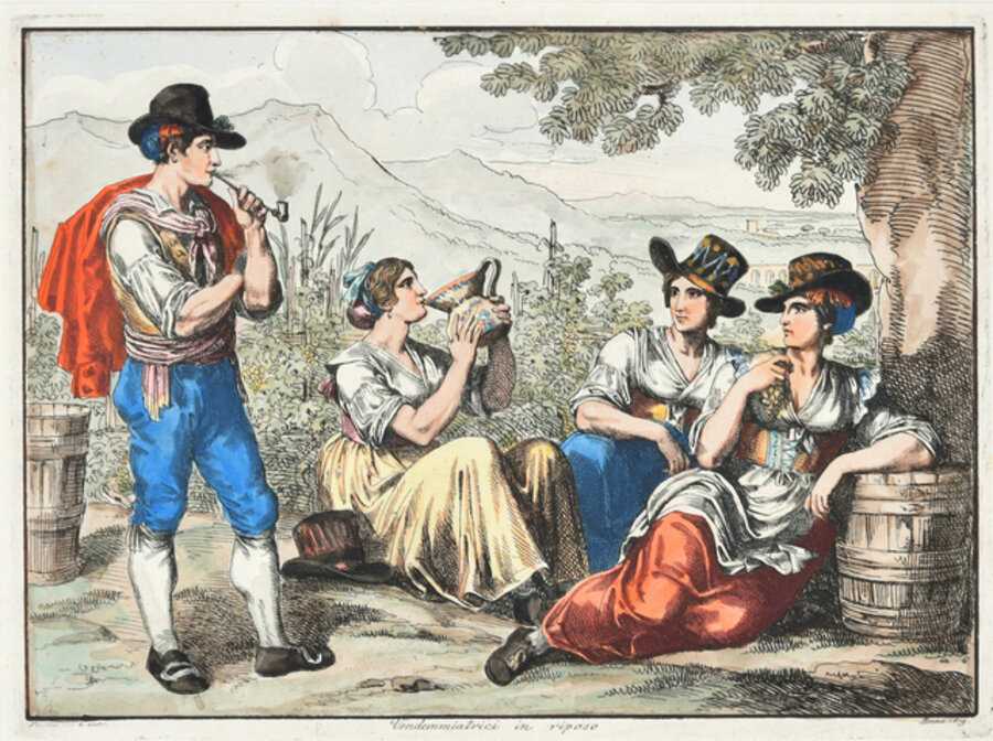 Grape Harvesters at Rest