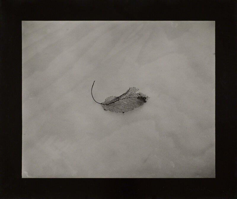 Josef Sudek, ‘Simple Still Life’, 1956, Photography, Vintage gelatin silver print, Robert Koch Gallery