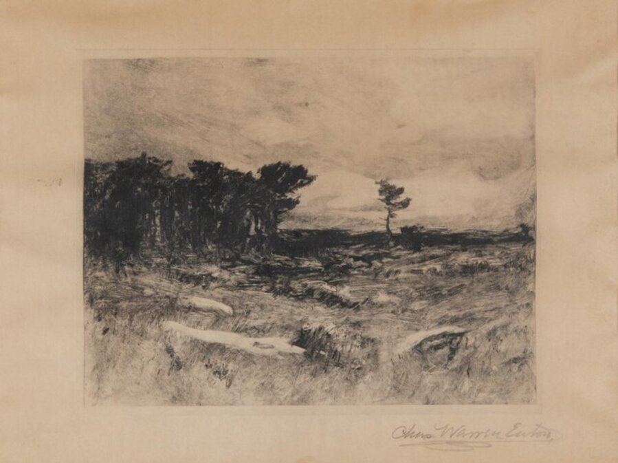 Landscape III