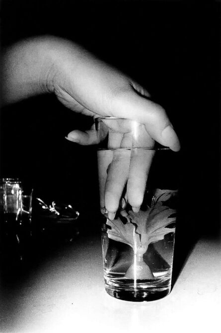 Daido Moriyama, ‘Daido Moriyama Tokyo 1990 (Daido Moriyama Water Flower) 1990/printed later’, 1990