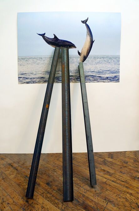 David Brooks, ‘Entangled Image (Short-beaked common dolphins)’, 2013