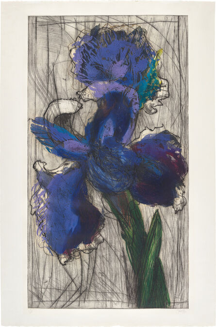 William Kentridge, ‘Dutch Iris’, 1996