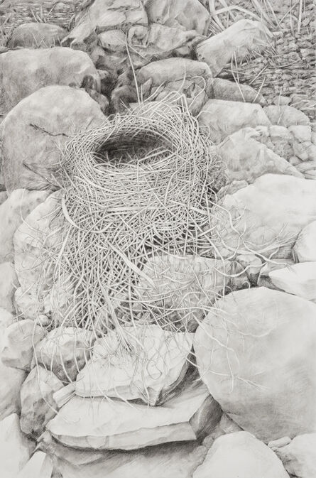 Amelia Hankin, ‘Nest on Rocks’, 2020