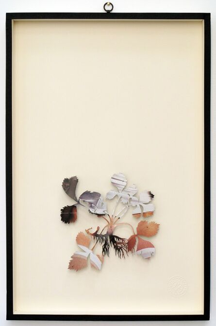 Paolo Giardi, ‘You Can Learn a Lot of Things From the Flowers - Plant XXXVI’, 2011