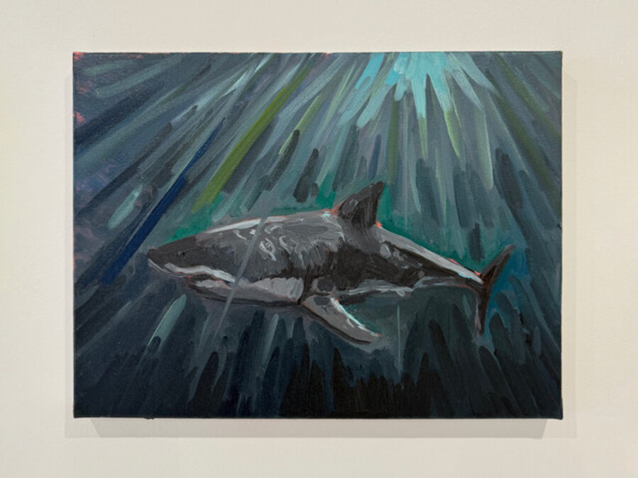 Shark