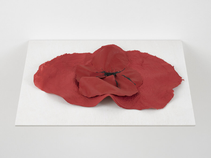 Ballade - Papaver
