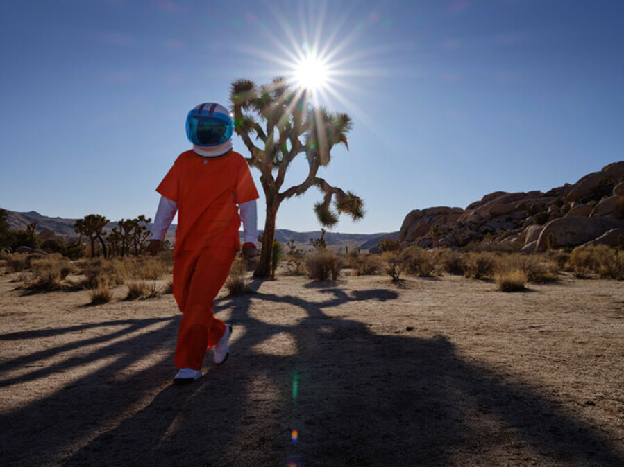 Let Light Shine, Joshua Tree, CA (Syzygy, the vision Series)
