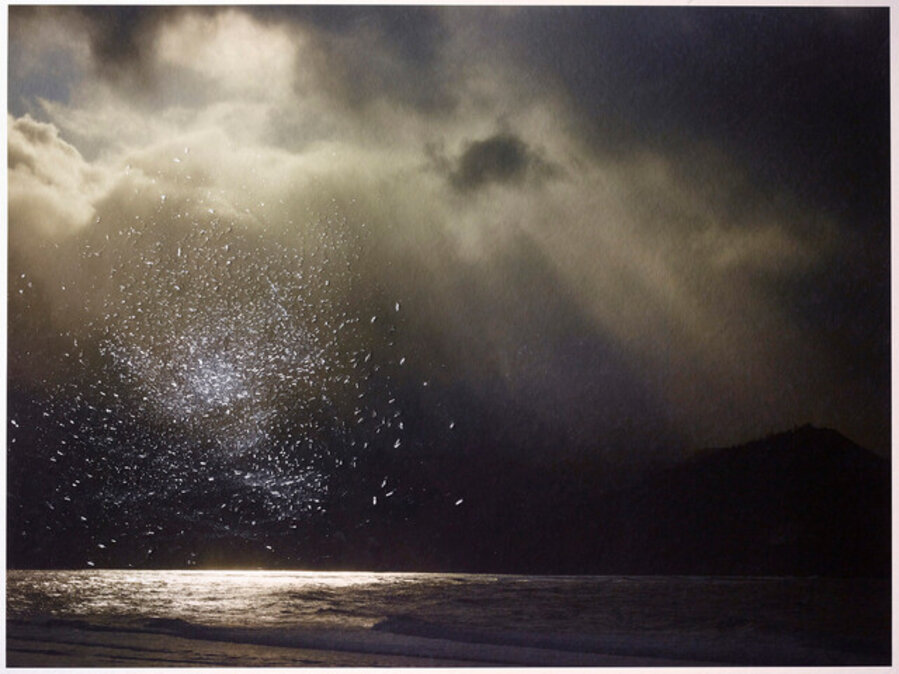 The Flight of Night
