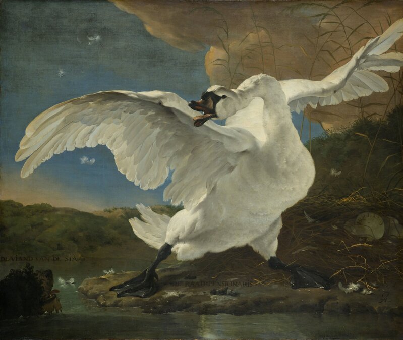 Jan Asselijn, ‘The Threatened Swan’, ca. 1650, Painting, Oil on canvas, Rijksmuseum