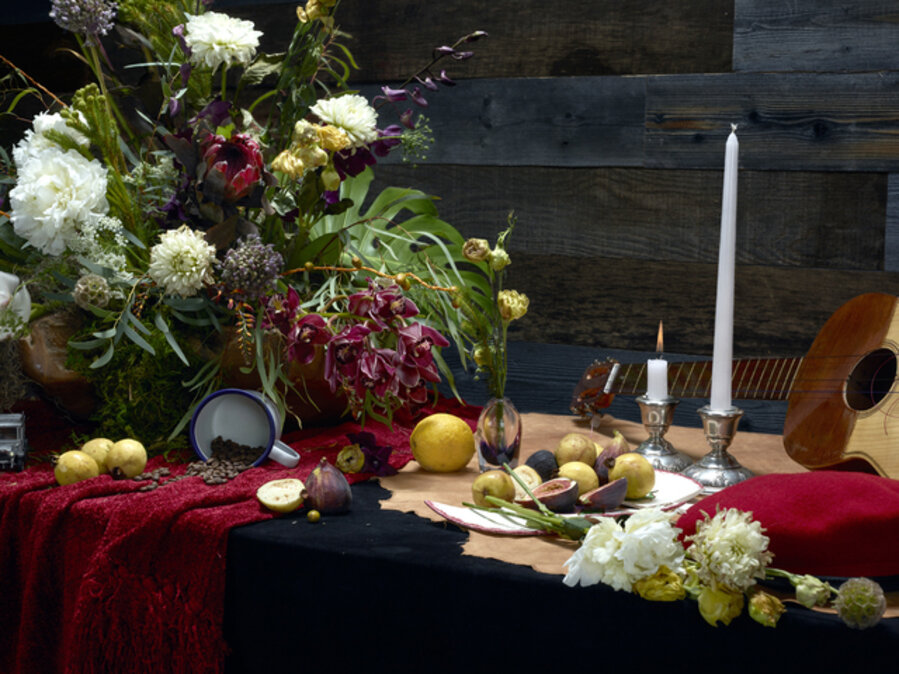 Still, Life, from LANDINGS