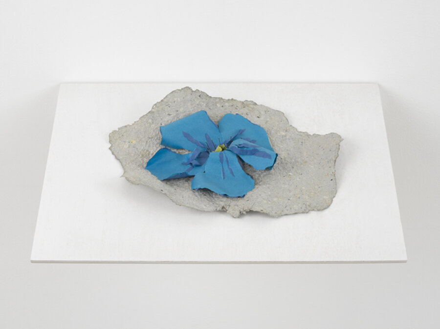 Ballade - Linum