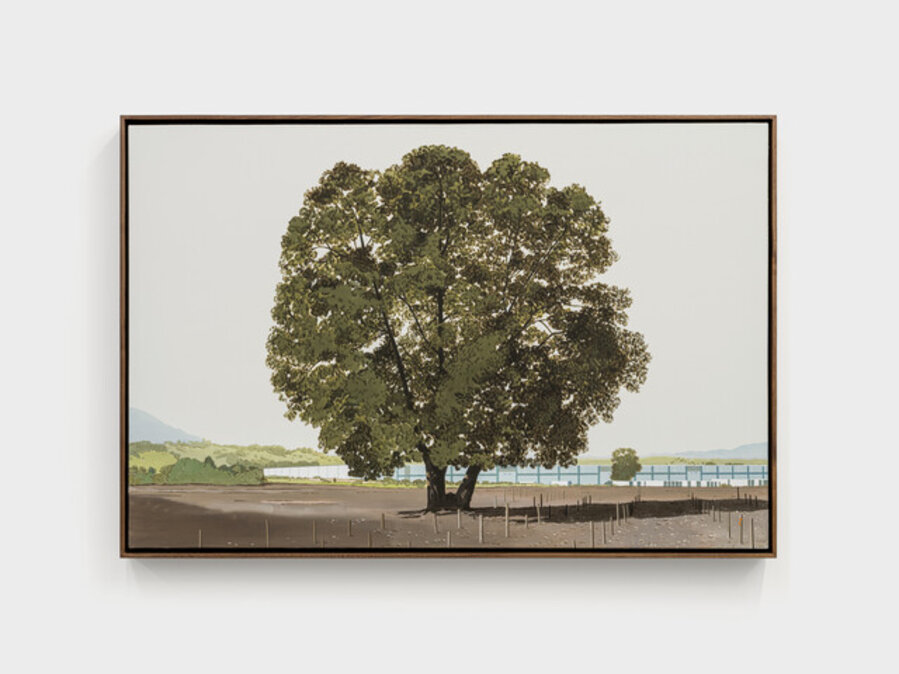 Salinas