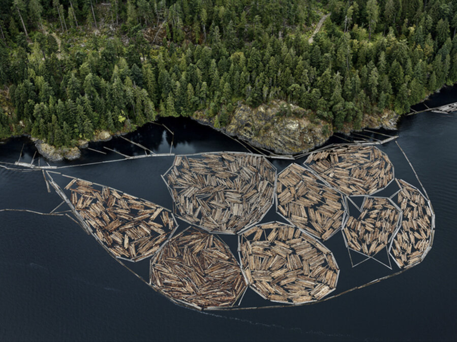 Log Booms #1, Vancouver Island, British Columbia, Canada